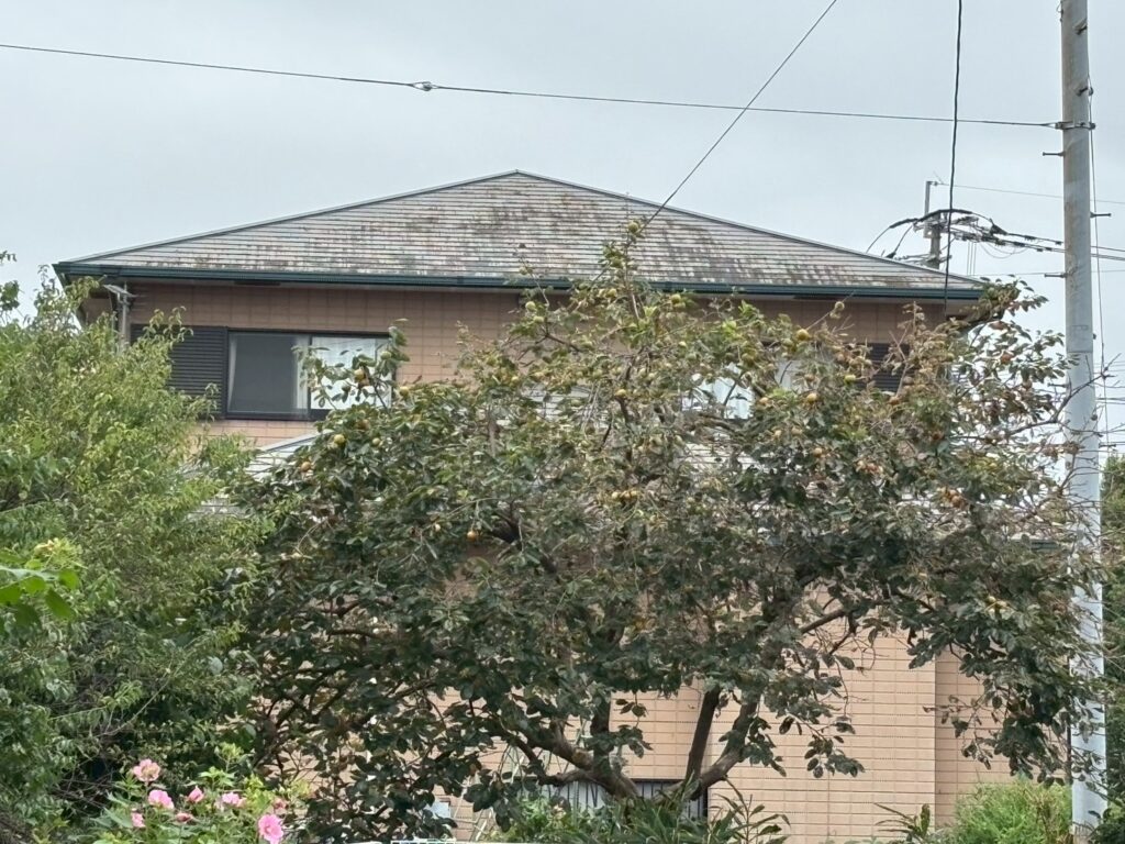 筑後市　G様邸　着工５